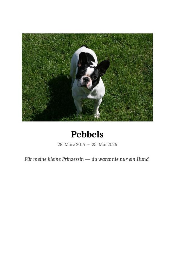 „Für meine kleine Prinzessin — du warst nie nur ein Hund.“