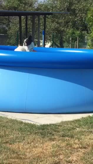 17. Juli 2015