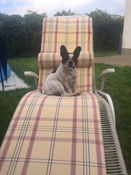 8. Juli 2016