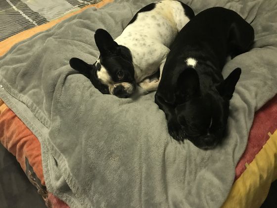 13. August 2017