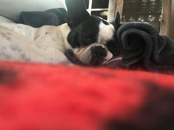 14. April 2018