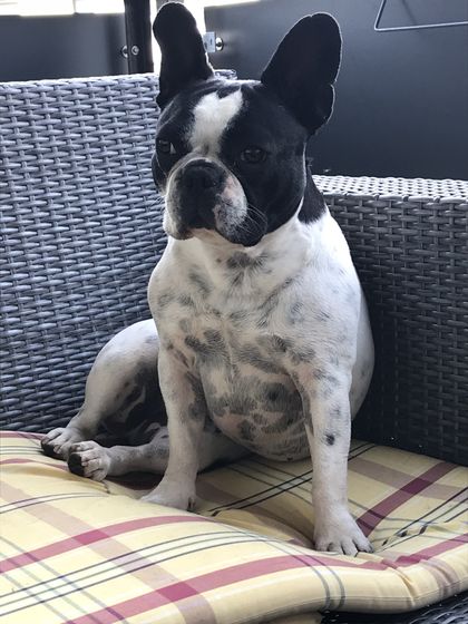 22. April 2018