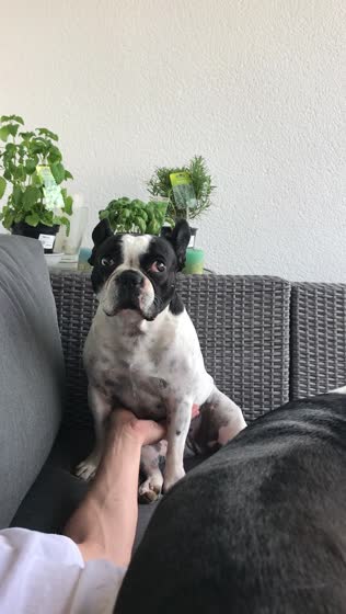 22. April 2018