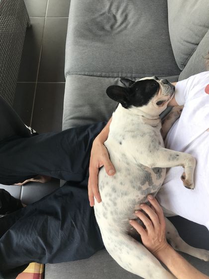 22. April 2018