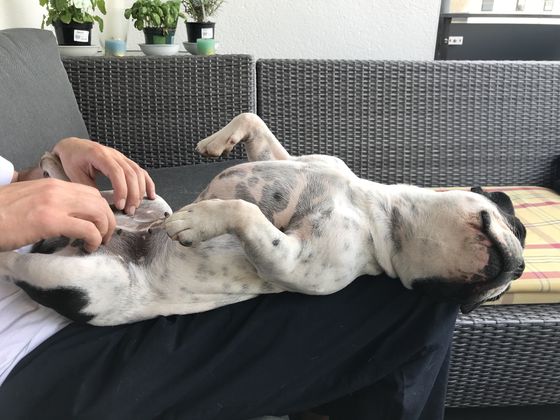 22. April 2018