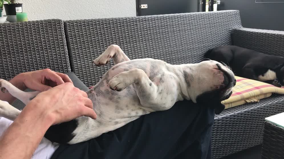 22. April 2018