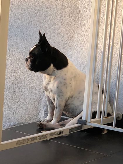 17. Mai 2018