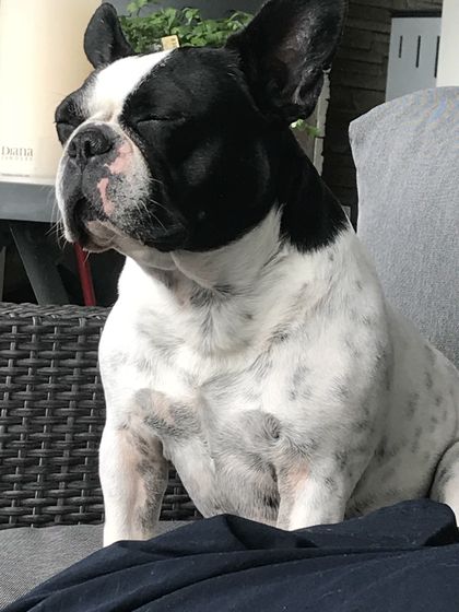 27. Mai 2018