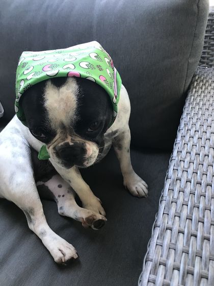 18. Juli 2018