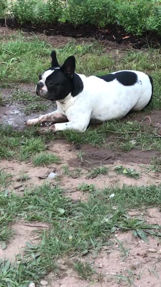 4. August 2018