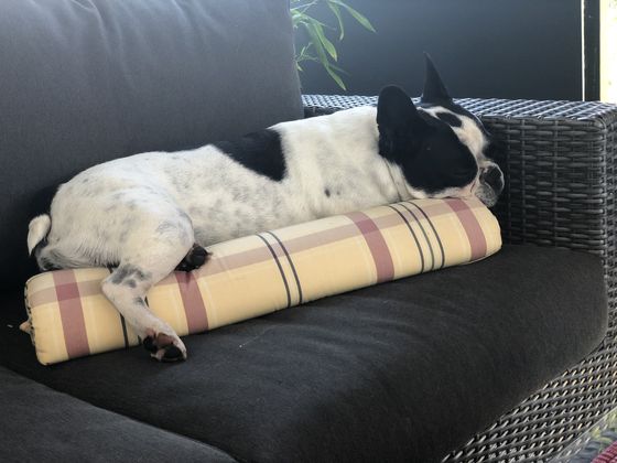 6. August 2018