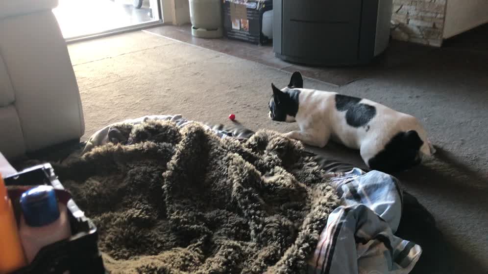 6. August 2018