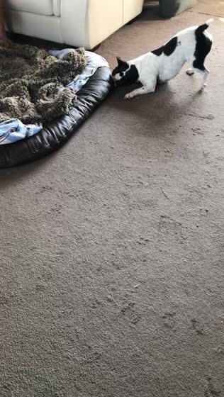 8. August 2018