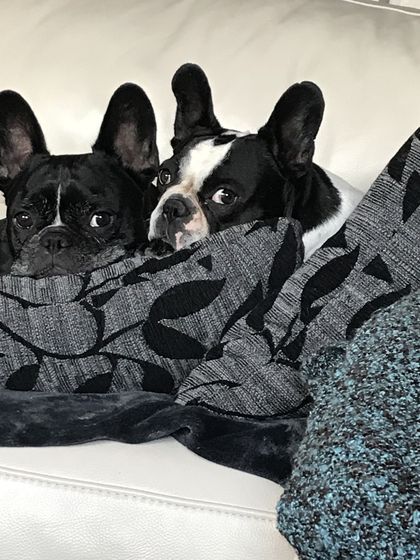 25. August 2018