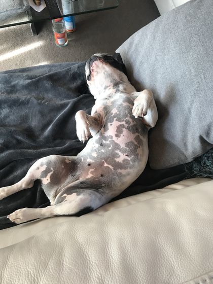 26. August 2018