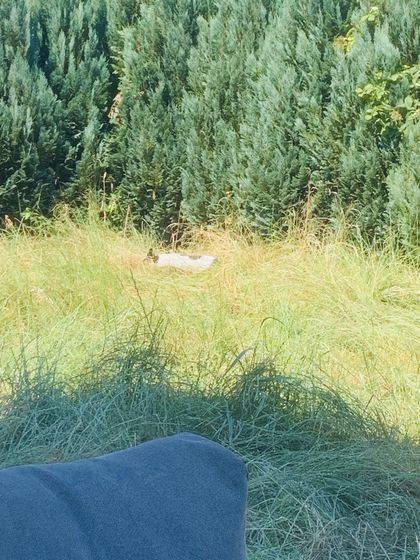 29. Juni 2019