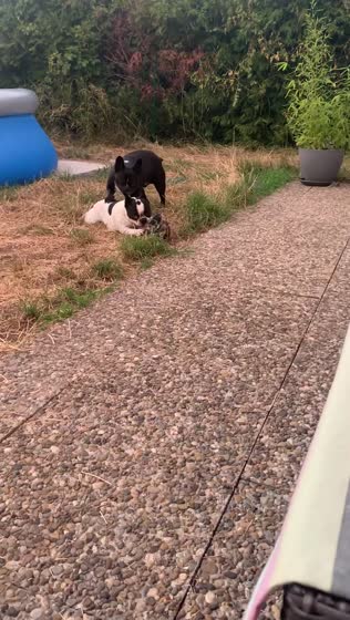 24. Juli 2019