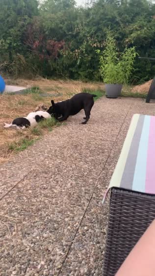 24. Juli 2019