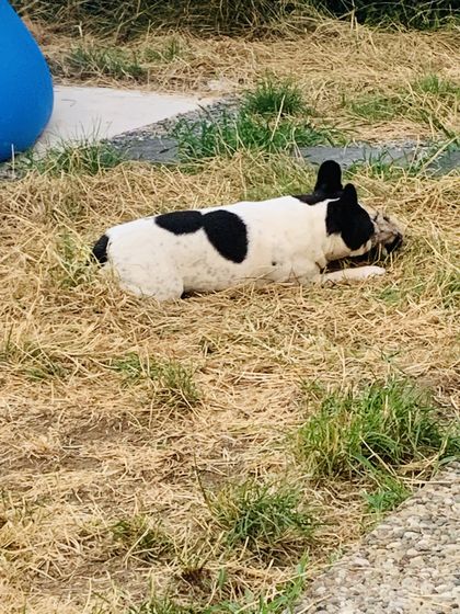 24. Juli 2019