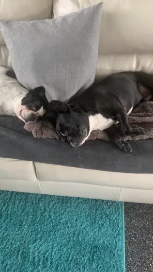 29. September 2019